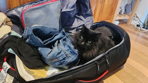 Customer photo review of High Sierra Composite V4 Wheeled Duffle Bag - 84cm - Black