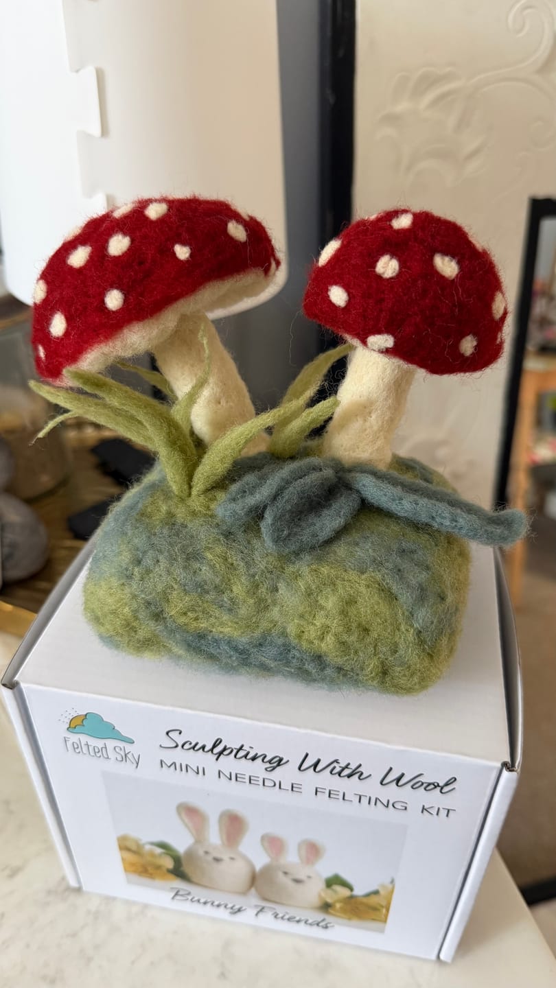 Customer photo review of Forest Toadstools Mini Needle Felting Kit