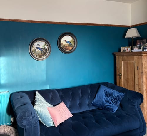 Customer photo review of C.1838 Audubon's Herons - Round Frame