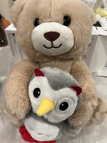 Customer photo review of Teddy Bear Stuffed Animal with Voice Recording and Nursery Rhymes