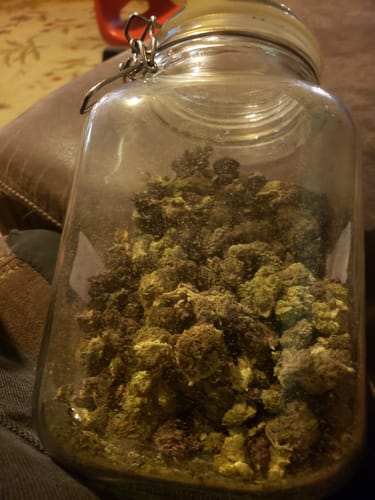 Customer photo review of Shipping Protection by Route