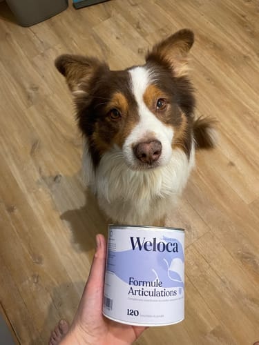 Customer photo review of Cure Articulations