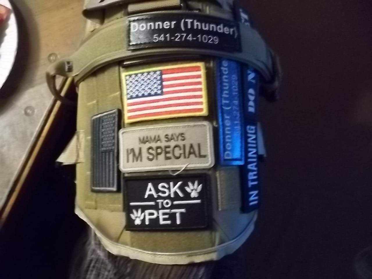 Customer photo review of Hook & Loop Patch Variety Bundle For Harness (Pack of 12)