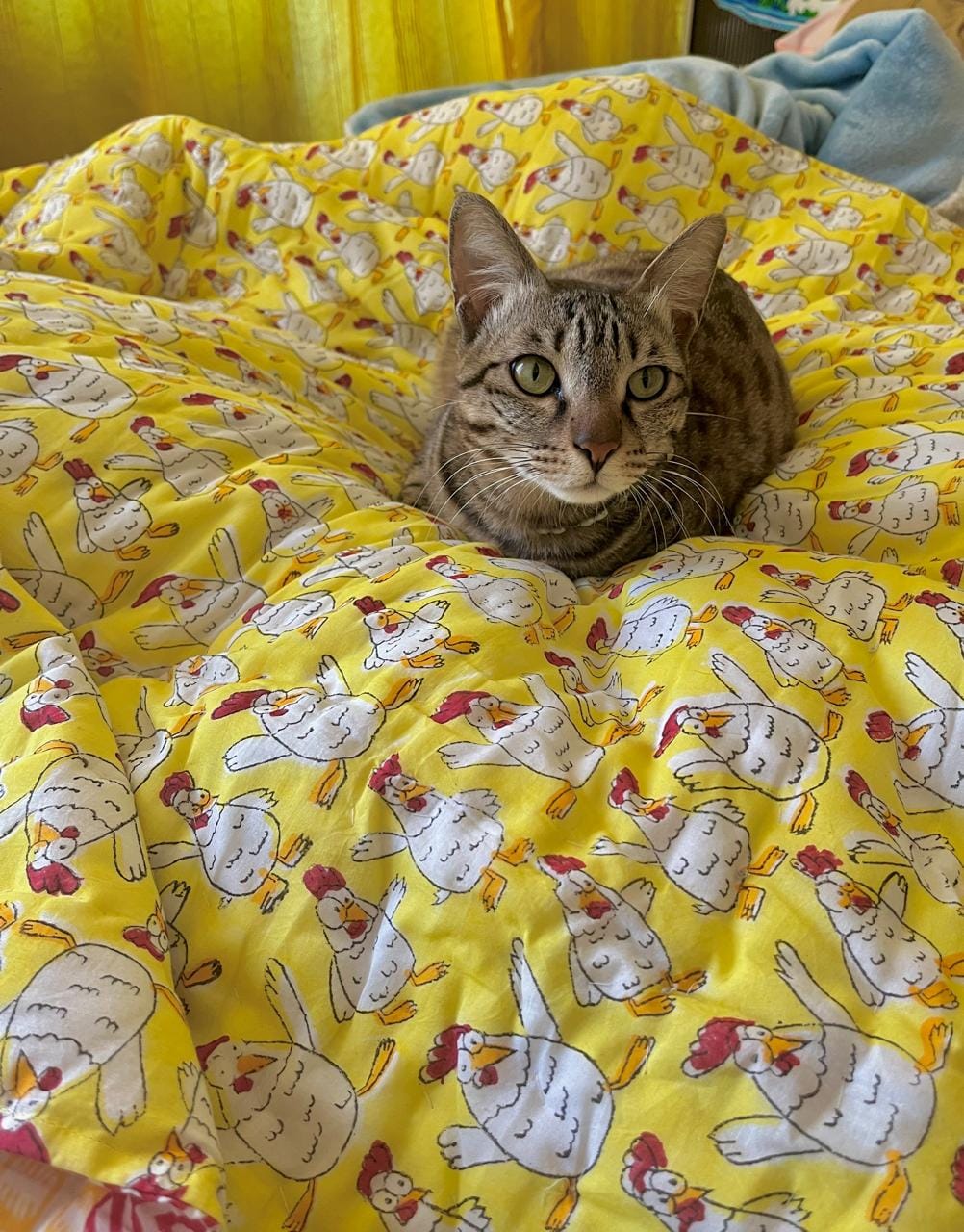 Customer photo review of Kuk-Doo-Koo Hand Block Printed Cotton Quilt