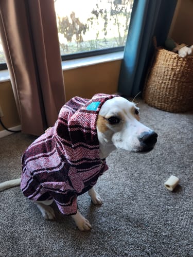 Customer photo review of Playa Poncho – Mystery Color (Bella, Charlie, or Fun Edition)
