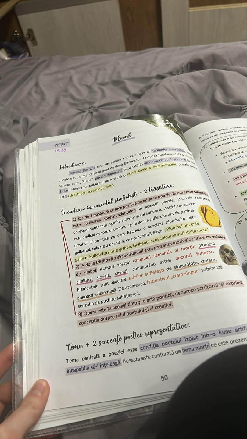 Customer photo review of Audiobook – Eseuri Audio BAC Română (temă și viziune, caracterizare, relație) + Quiz-uri