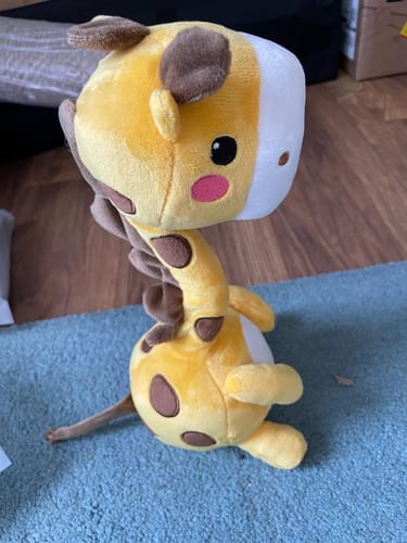 Customer photo review of Interactive Dancing Singing Repeater Toy – Repeats What You Say, Twists Neck