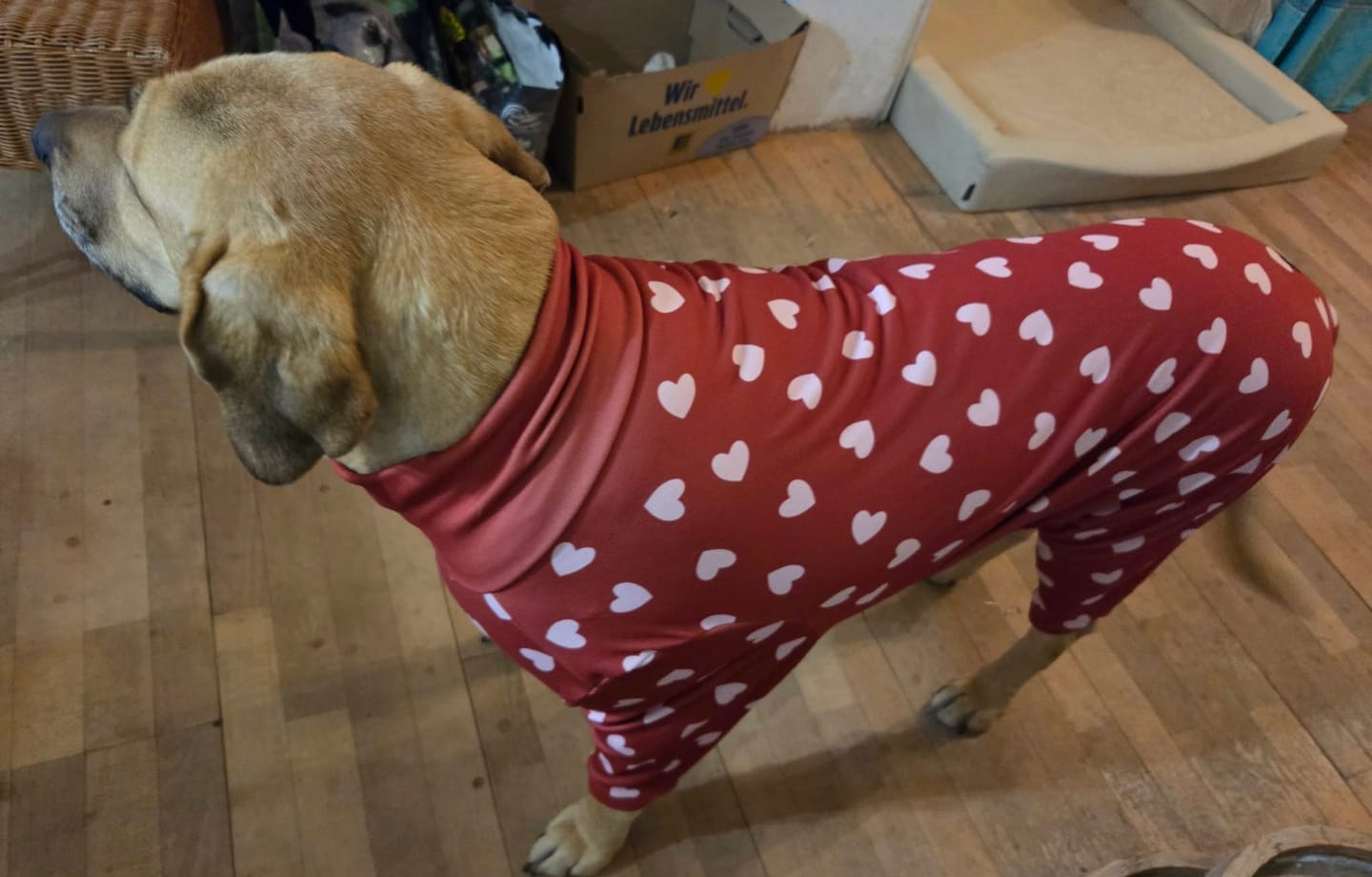 Customer photo review of Dog Pajama - Red Hearts