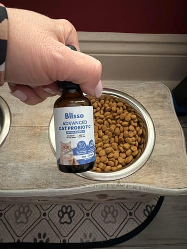 Customer photo review of Blisso Advanced Cat Probiotic