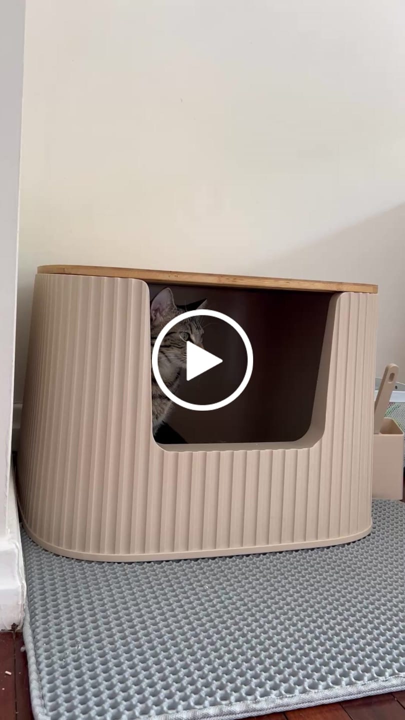 Customer video review of Michu XXL BoBa Deluxe Cat Litter Box - Spacious Design