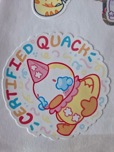 Customer photo review of Certified Quack Sticker