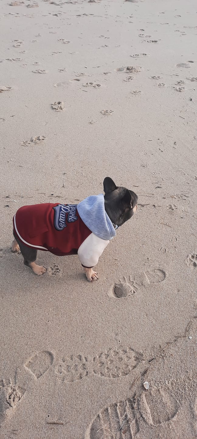 Customer photo review of Dog Varsity Jacket - Red