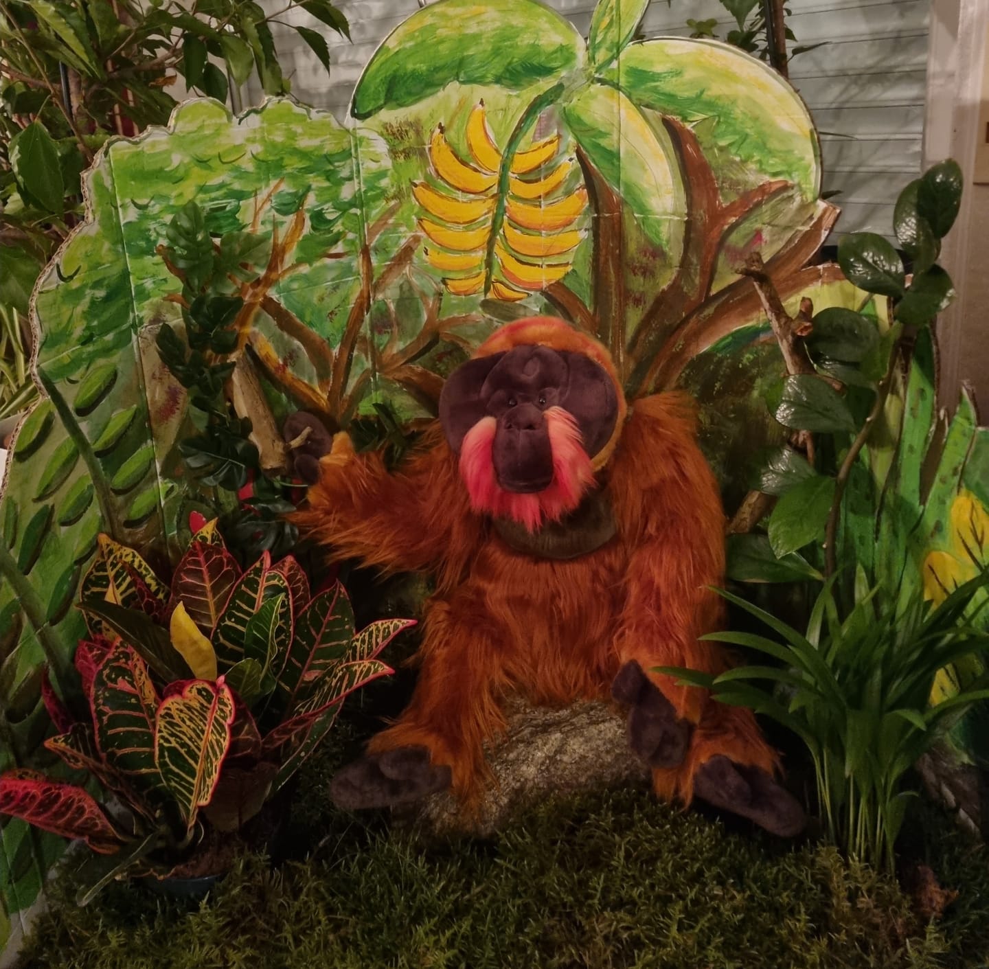 Customer photo review of Orangutan Ape Soft Stuffed Plush Toy