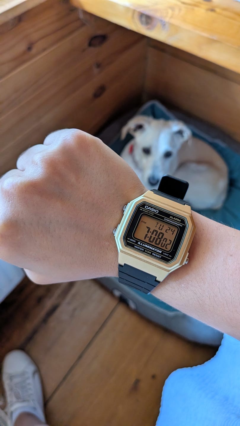 Customer photo review of Reloj Casio Vintage F-91WM-9ADF Dorado/Negro