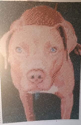 Customer photo review of Diamond Painting - Custom Photo