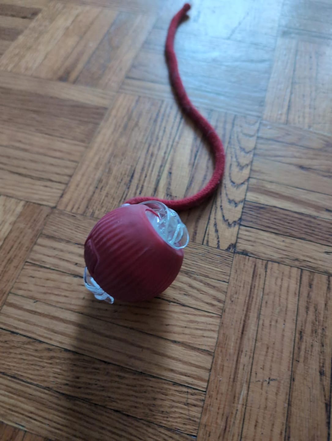 Customer photo review of PetMind Interactive Smart Toy for Cats & Dogs + 30% Off Storewide + While Stock Lasts