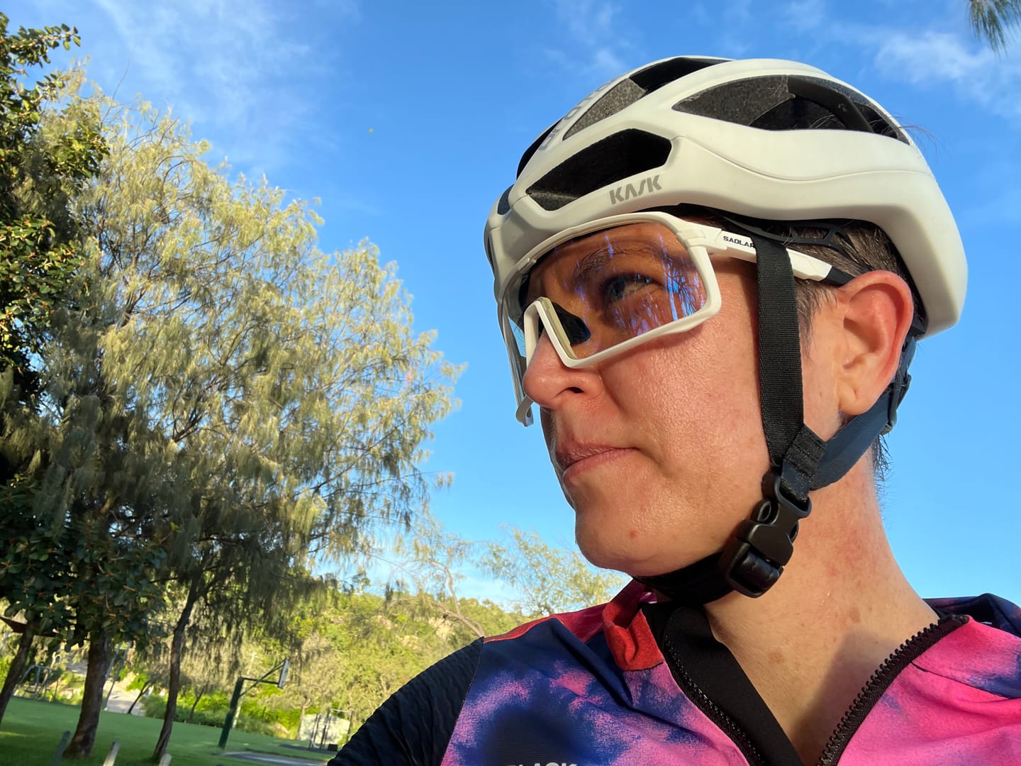 Customer photo review of ShadeLane / Ice