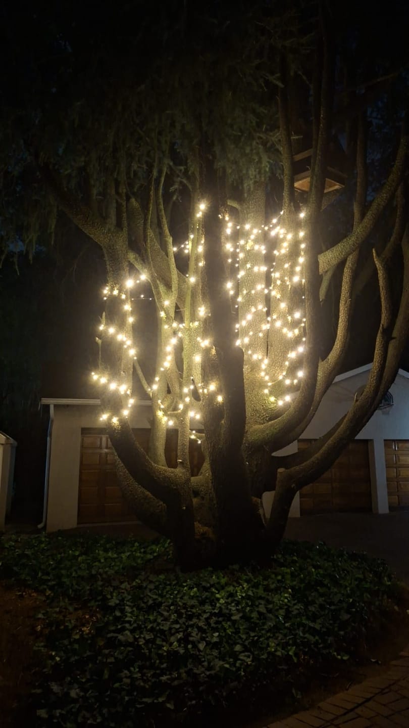 Customer photo review of Outdoor Heavy Duty Fairy Lights 10m Warm White - Black String