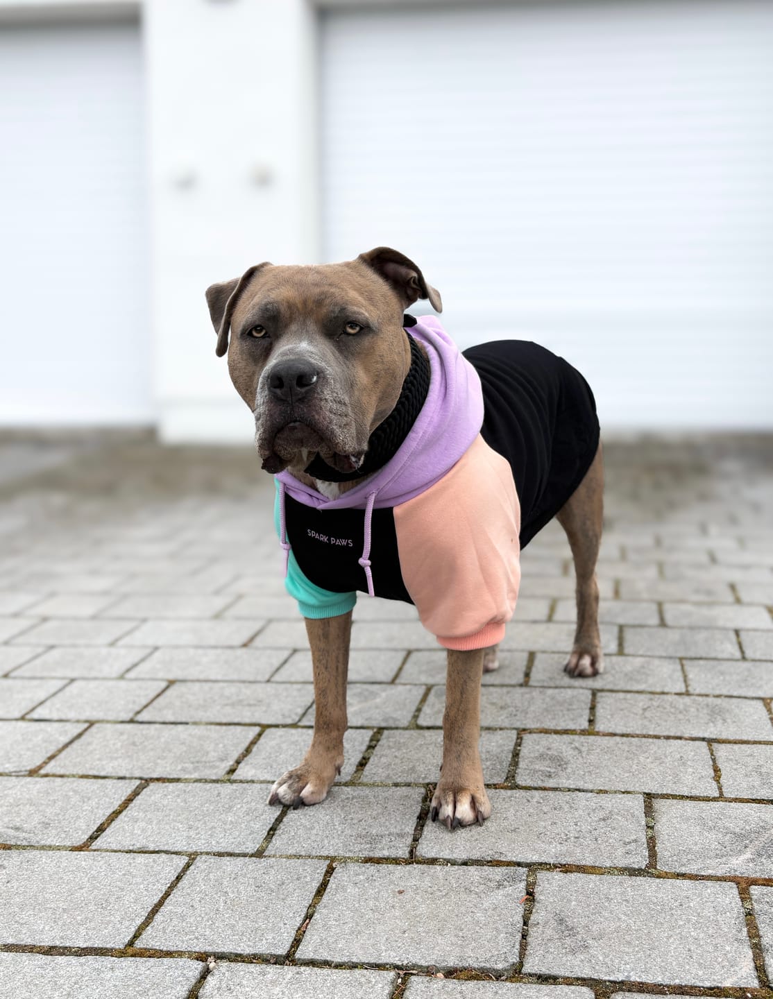 Customer photo review of Cyber Punk Dog Hoodie