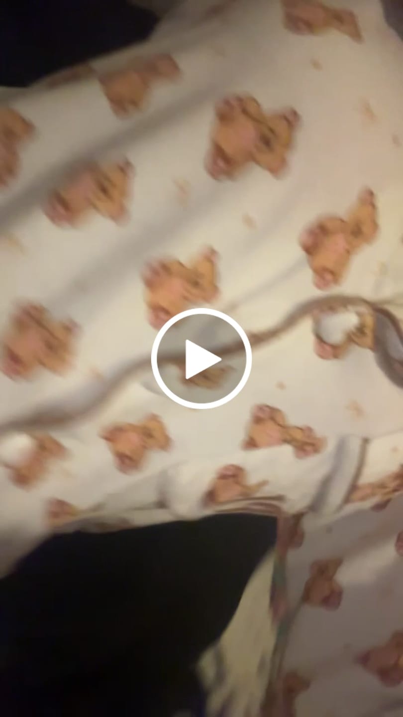 Customer video review of Women's Teddy Bear Pyjamas