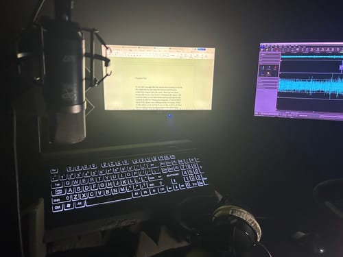 Customer photo review of Mini K87 Condenser Microphone