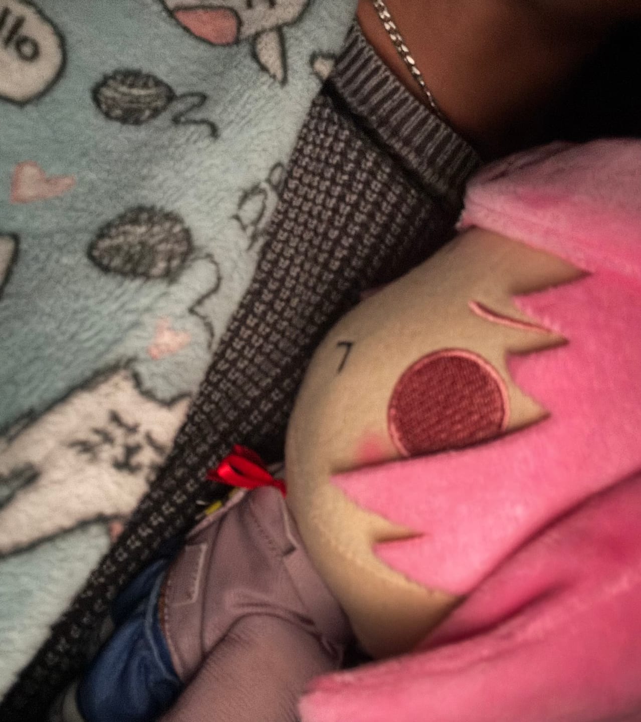 Customer photo review of Doki Doki Literature Club - Natsuki Collector's Plush