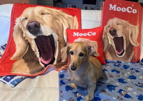 Customer photo review of Petcanva©オーダーメイド ペット似顔絵【3点セット】