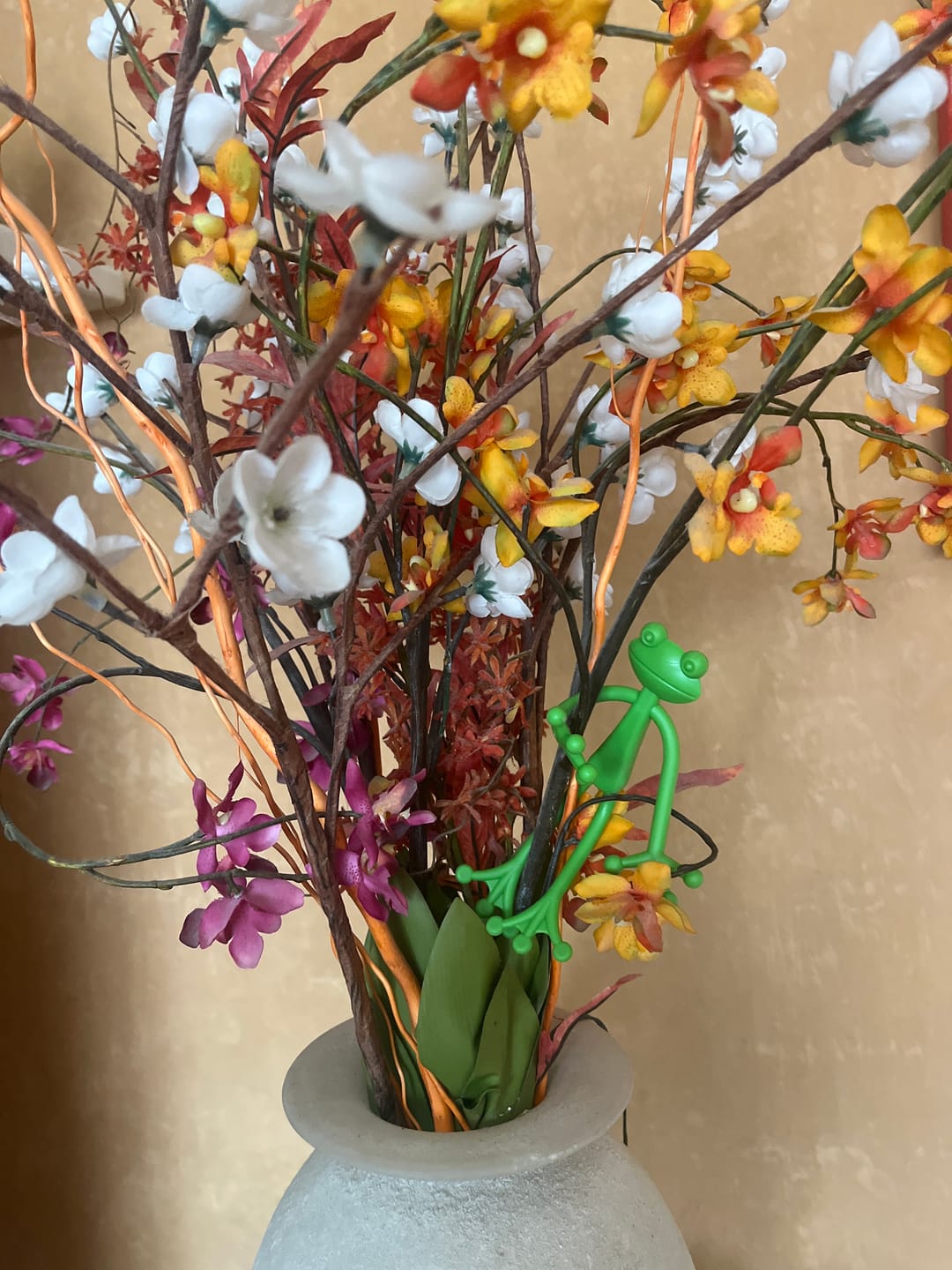Customer photo review of Mamie-Frog® - Le Tuteur qui sourit à vos plantes