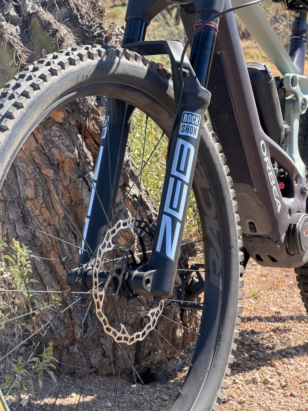 Customer photo review of Metallic RockShox ZEB Fork Decal