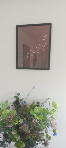 Customer photo review of Dance of Wings Print
