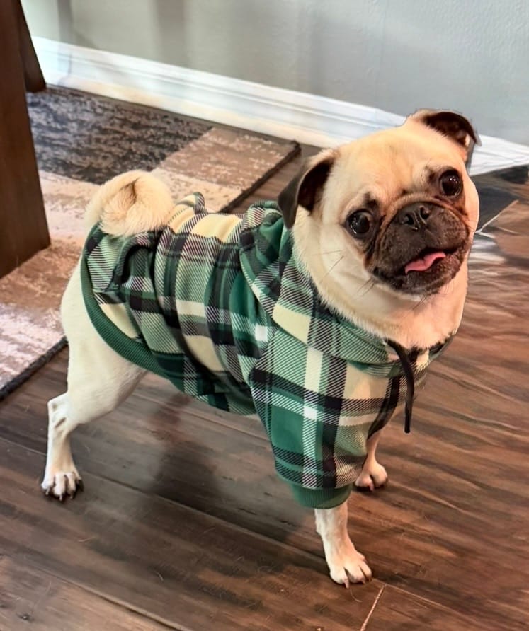 Customer photo review of Green Plaid Dog Hoodie