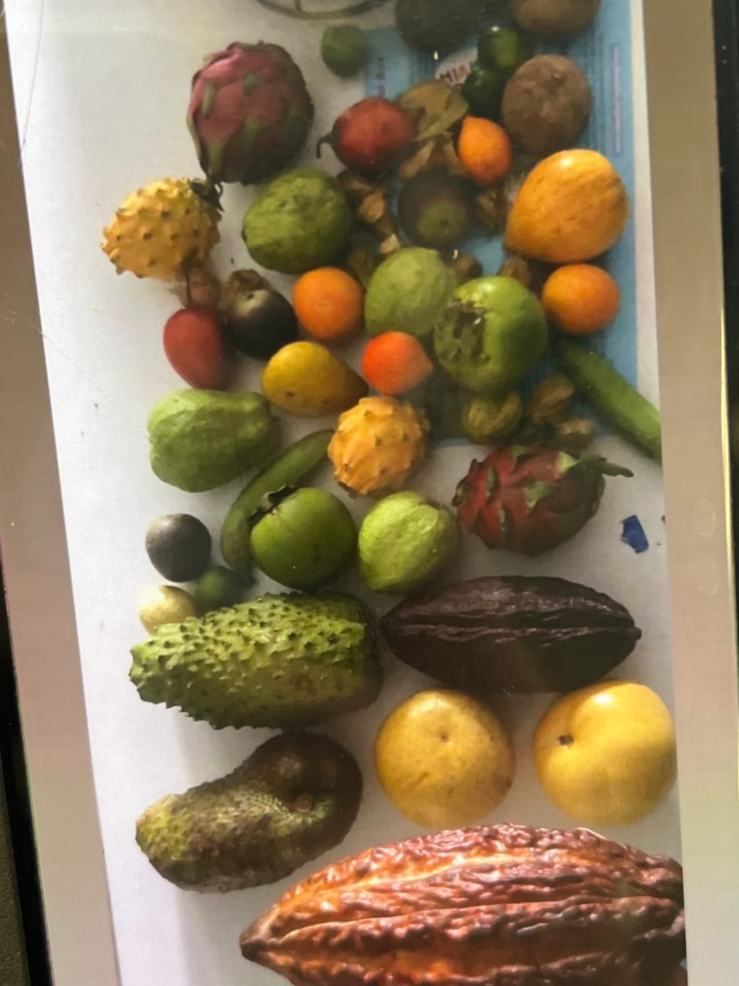Customer photo review of Variety Box