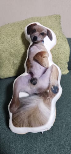 Customer photo review of 本物そっくり♪ペットクッション