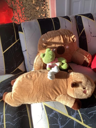 Customer photo review of Giant Capybara Plush Pillow