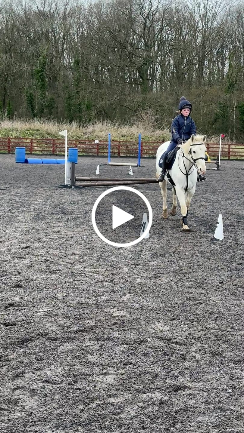 Customer video review of Collagen Powder For Horses
