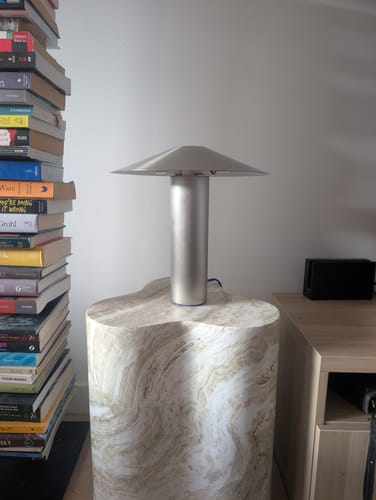 Customer photo review of Hoist Lamp | Brushed Metal