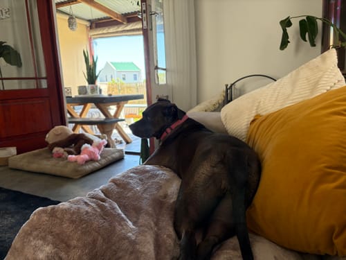 Customer photo review of Best Sellers Bundle