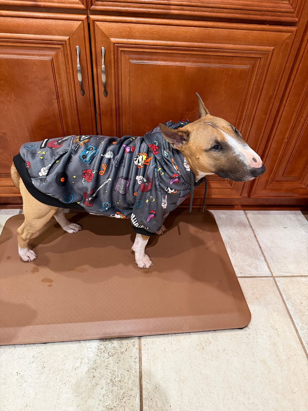 Customer photo review of Rock and Roll Dog Hoodie
