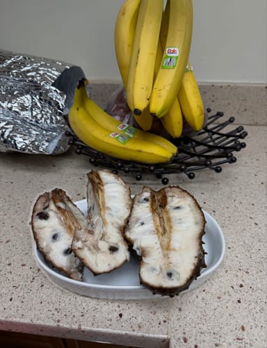 Customer photo review of Soursop