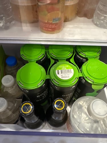 Reviewer's six-pack of IPA cans with a green plastic holder inside a refrigerator.