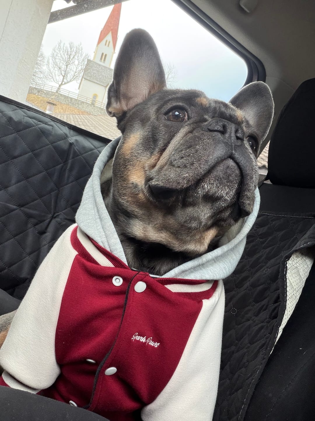 Customer photo review of Dog Varsity Jacket - Red