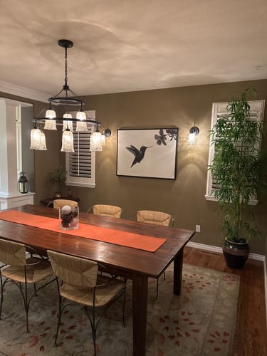 Customer photo review of Hummingbird Motion Canvas Art