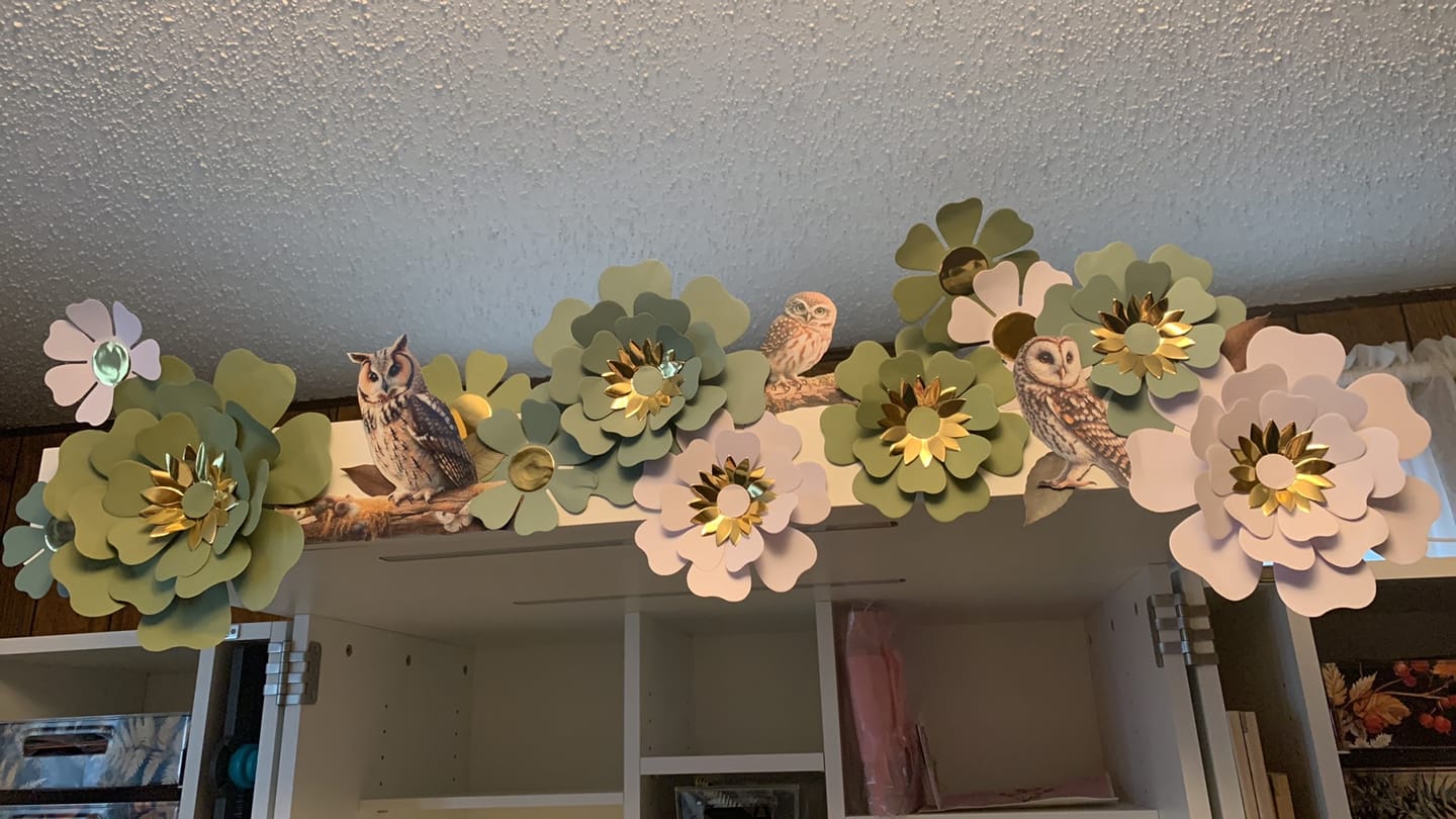 Customer photo review of DreamBox Crown
