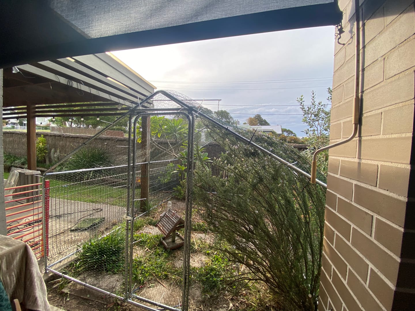 Customer photo review of Pets Gear Metal Cat Cage Outdoor Enclosure