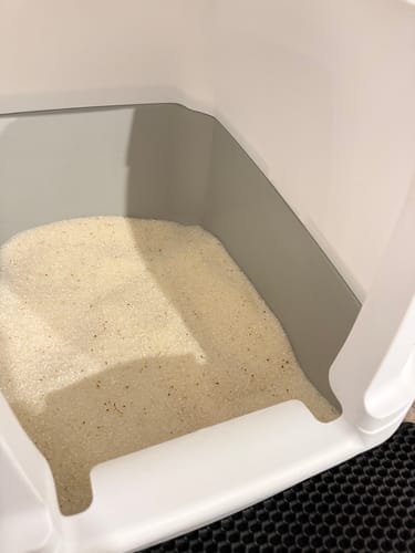 Customer photo review of Fit Litter