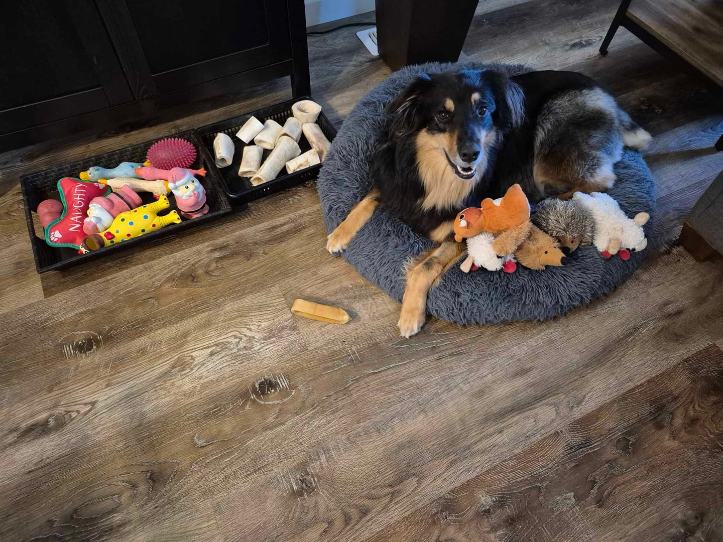 Customer photo review of Himalayan Yak Chew (LARGE)