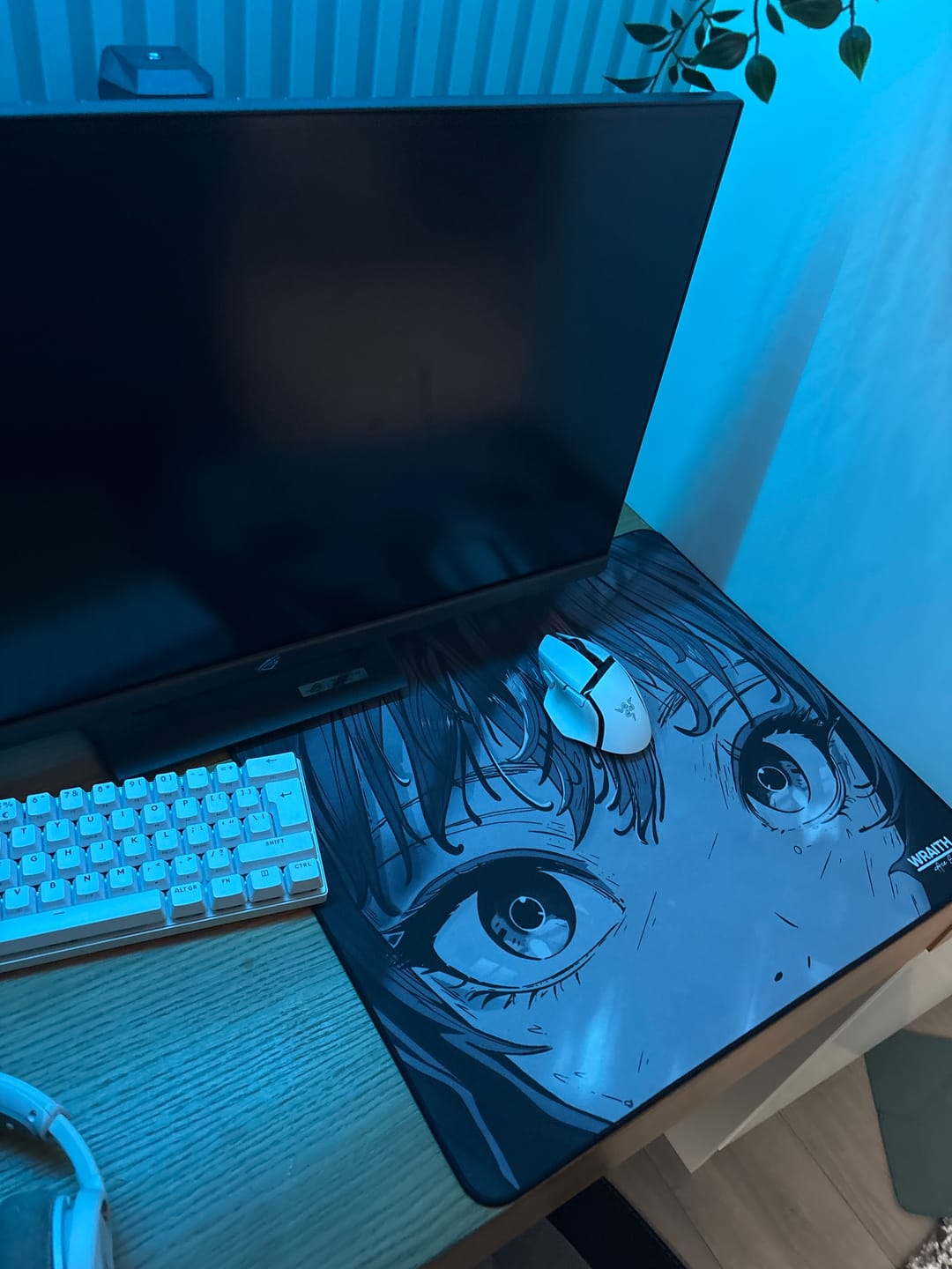Customer photo review of Wraith Ace Series [Glimpse] Limited Edition Poron Mousepad