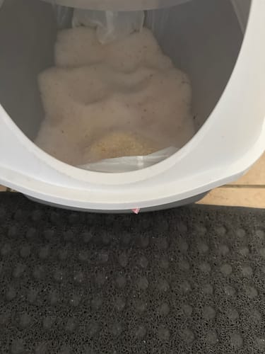 Customer photo review of 1 Month Supply – 1 Cat