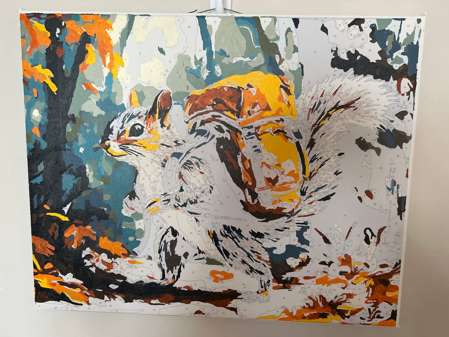 Customer photo review of Backpacking Squirrel