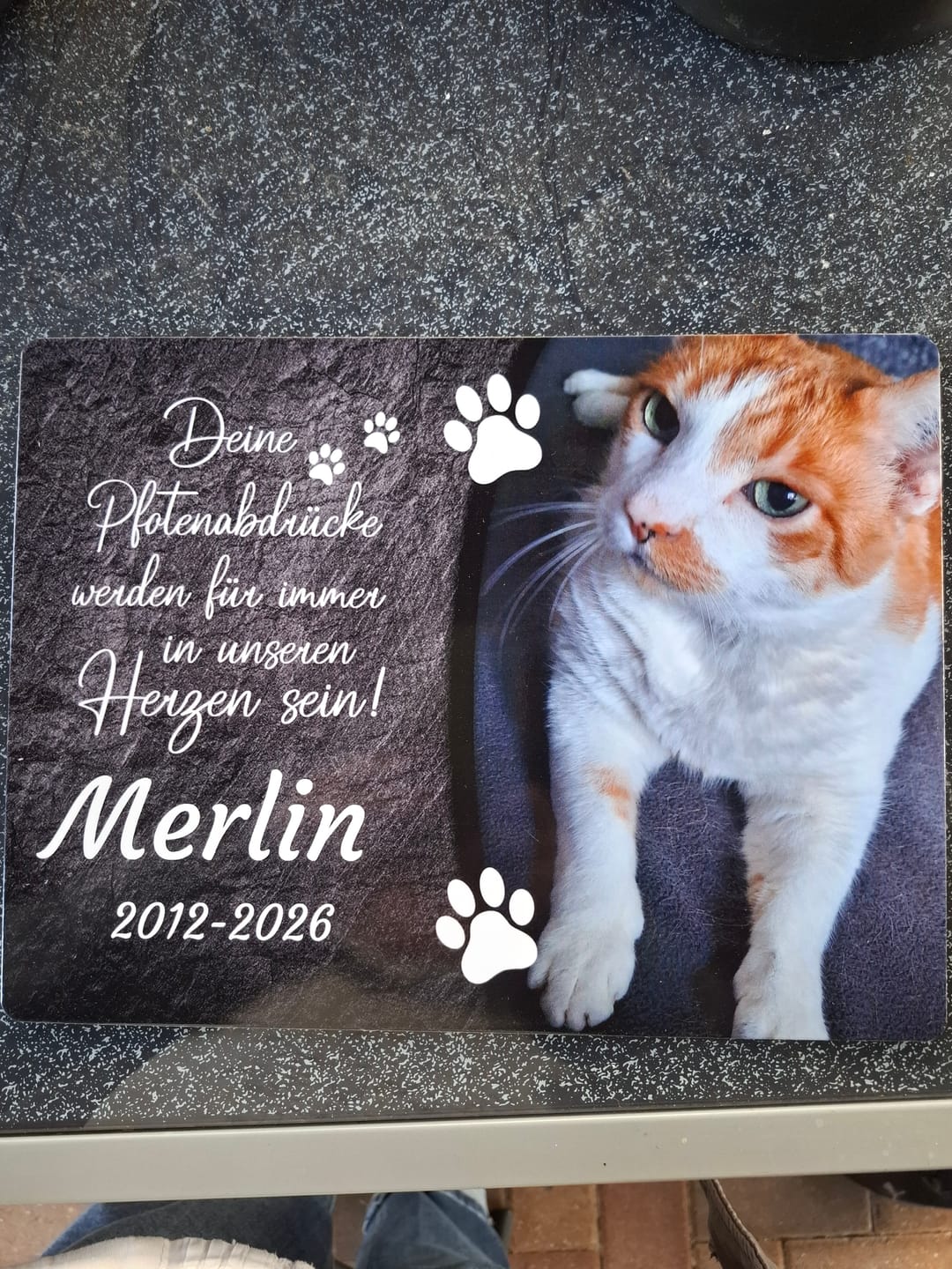 Customer photo review of Katzen Gedenktafel mit Foto & Spruch (UV- & Wetterfest)